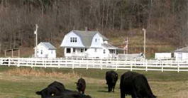 Eco-Vacation at Willow Creek Ranch, Coon Valley, WI