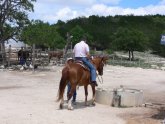 Guest Ranches In Texas